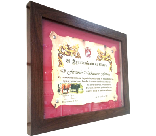 Cuadro Homenaje Reconocimiento - Homage (550x480), Png Download
