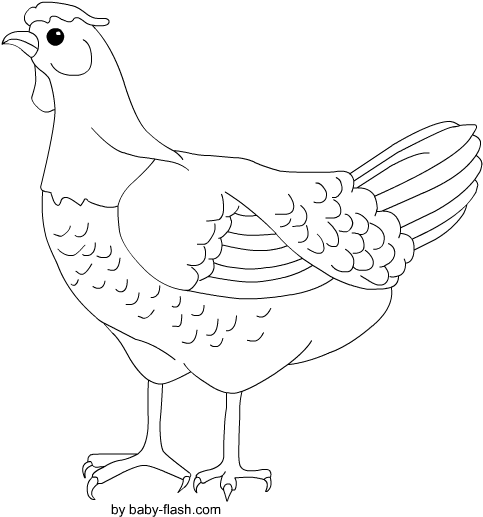 Chicken (567x680), Png Download