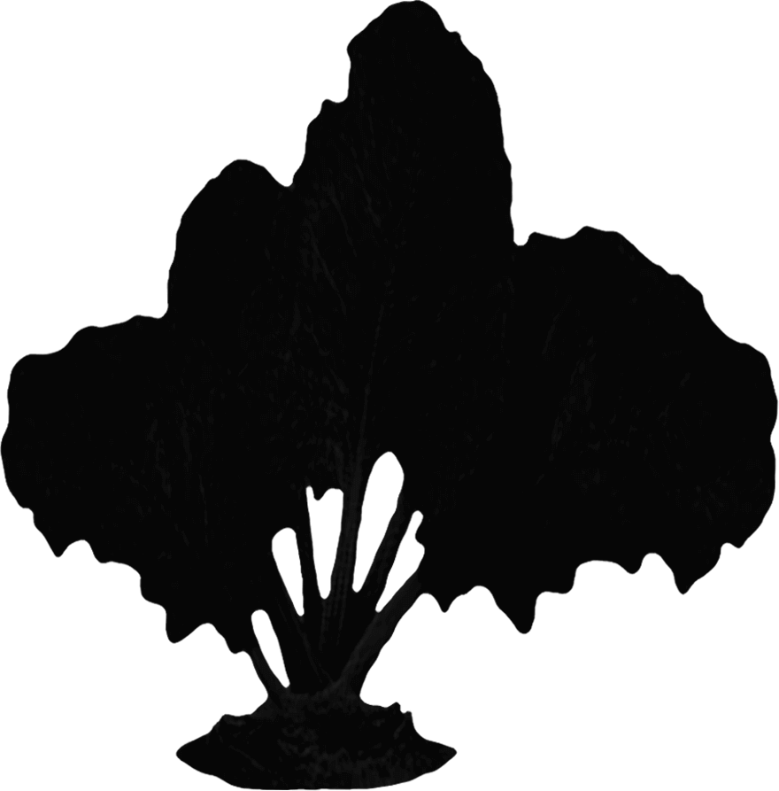 Veganism (880x893), Png Download