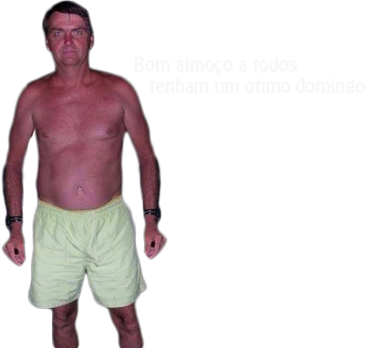 Bolsonaro Peixe (533x508), Png Download
