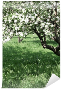 Florescence Of Beautiful Apple Trees In Springtime - Stock Photography (400x400), Png Download