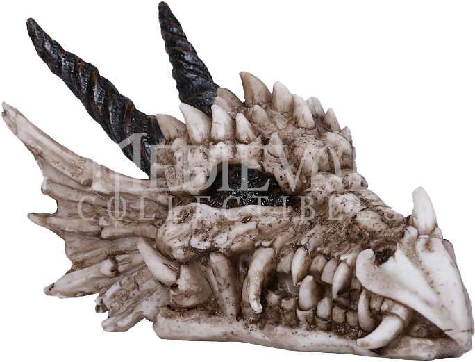 Dragon Skull Statue - Dinosaur (688x688), Png Download