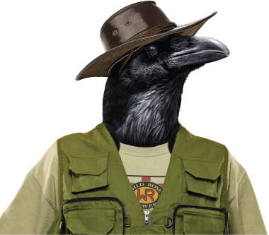 Fill Your Crowler® With 32oz Of A Fresh Brew, Including - Fish Crow (380x333), Png Download