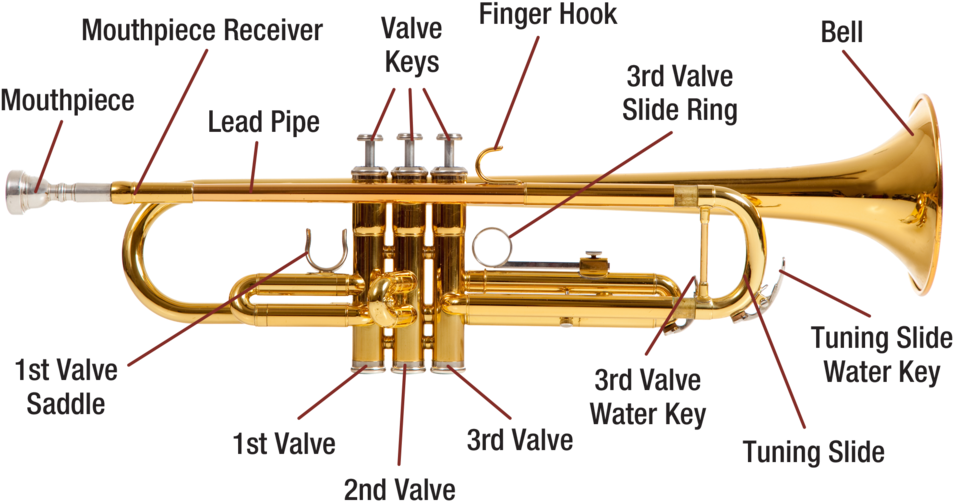 Trumpet Diagram Image - Labelled Diagram Of A Trumpet (1000x540), Png Download