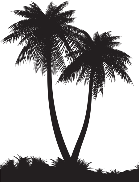 Pin By Alan On Bookshelves - Palm Tree Silhouette Png (450x600), Png Download