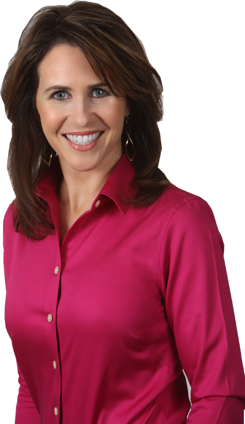 Kelly-kelly - Kelly Kelly (500x865), Png Download