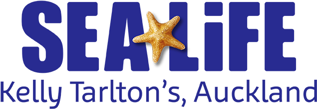 Sea Life Kelly Tarlton's Aquarium - Sea Life Kelly Tarltons (652x231), Png Download