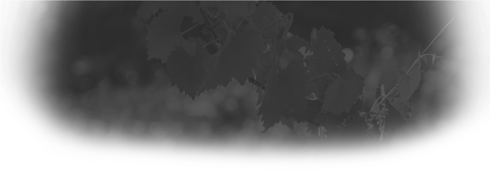 Header-background - Monochrome (1680x700), Png Download