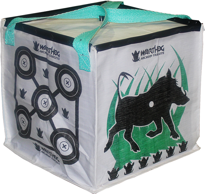 Download Field Point Only Archery Bag Targets Archery Full Size PNG