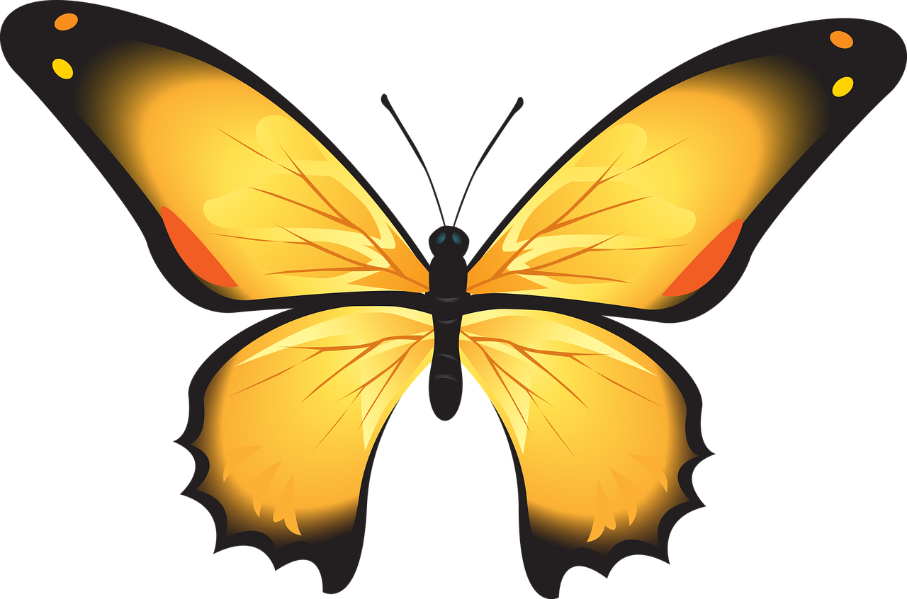 Clip Art (1280x846), Png Download