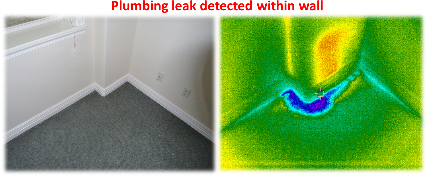 Download Leak Detection In St Petersburg Ogden Home Insurance Company