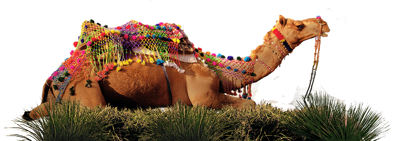 Image Description - Loan (1920x1080), Png Download