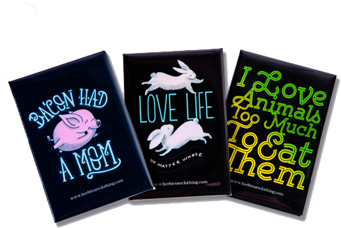 Download Refrigerator Magnet - Full Size PNG Image - PNGkit