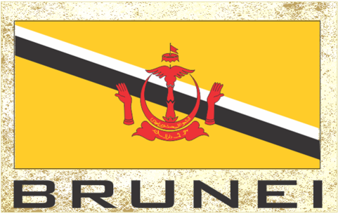 Novelty Fridge Magnets - Brunei Flag (480x480), Png Download