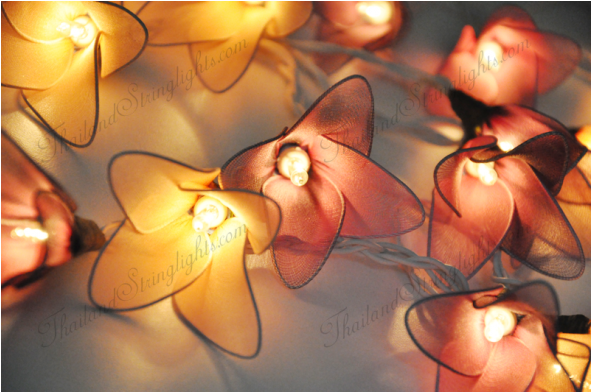 Light Bulb (590x590), Png Download