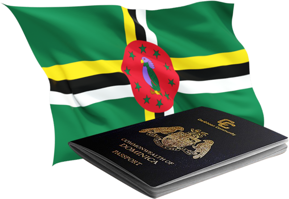 Eligibility & Investment Criteria - Flag (589x406), Png Download