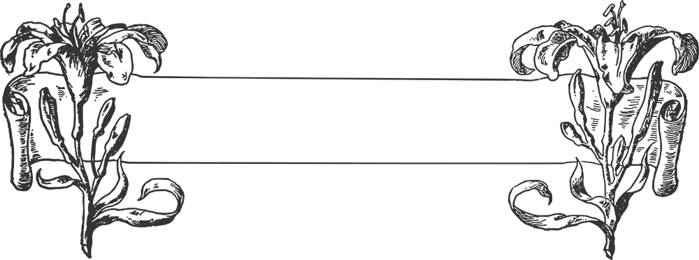 Png - Ring (1000x373), Png Download