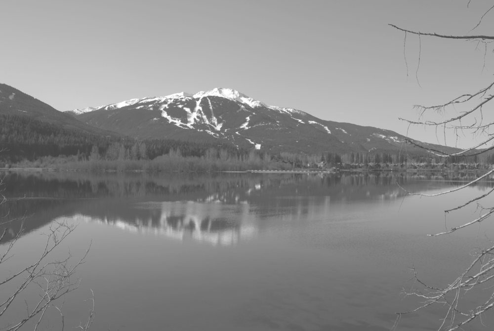 Banner Photo Screened (1000x670), Png Download