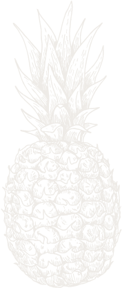 Pineapple Negative - Pineapple (480x480), Png Download