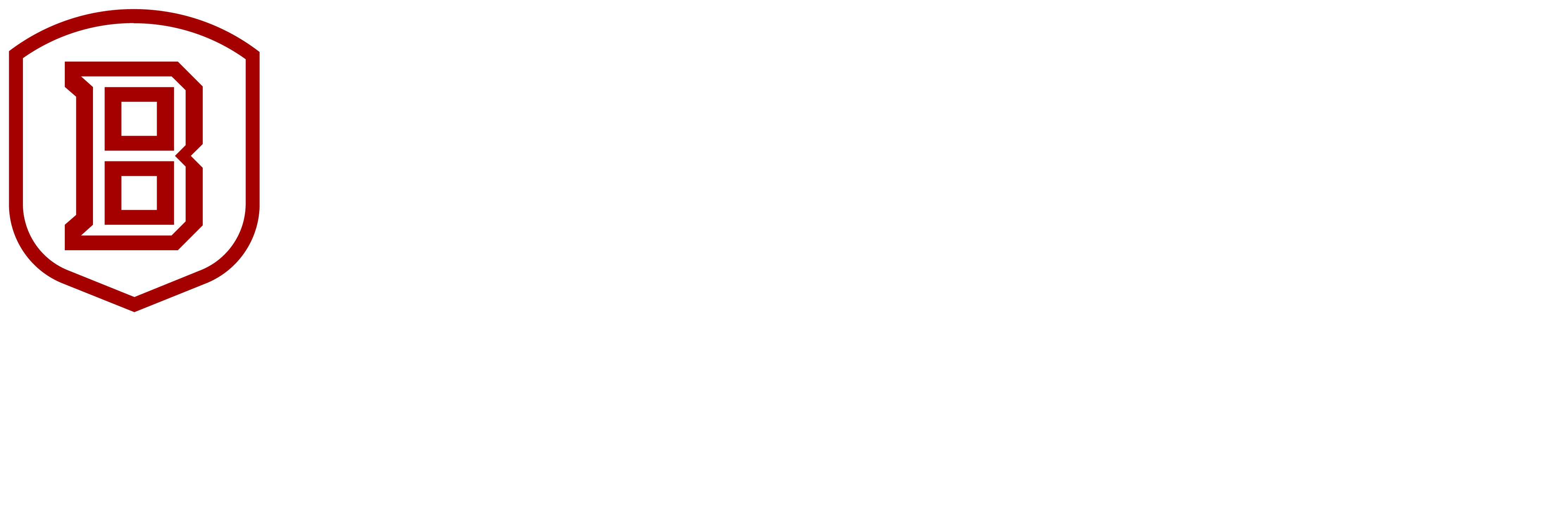 Logo Centered - Bradley University Logo (4453x1484), Png Download