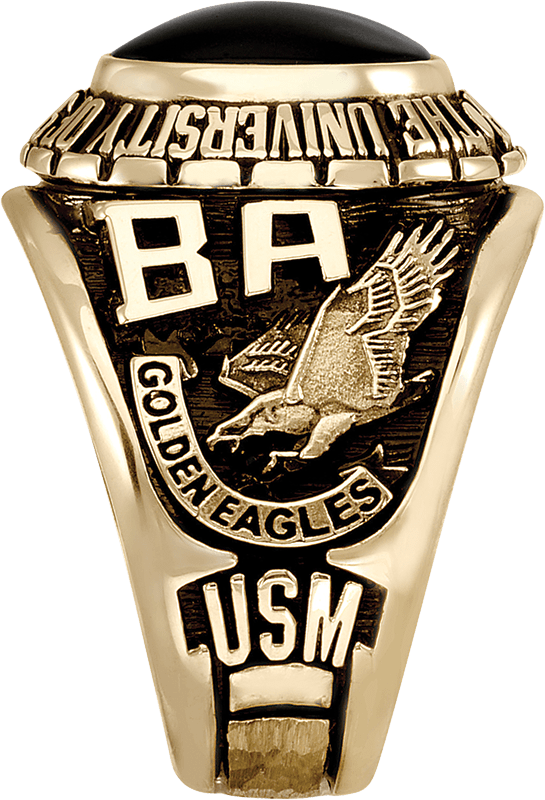 Emblem (545x800), Png Download