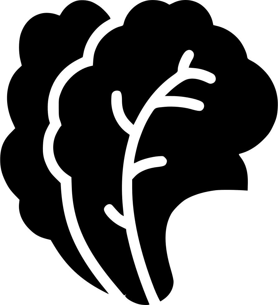 Png File - Salad Vector (894x980), Png Download