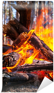 Flame (400x400), Png Download