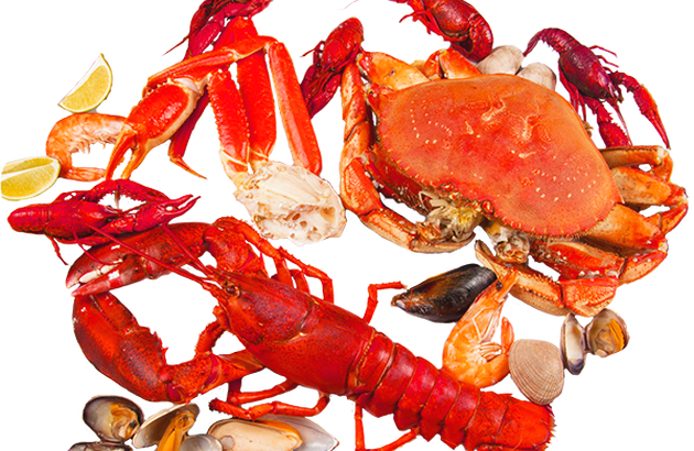 Food Additive Chitin (630x410), Png Download