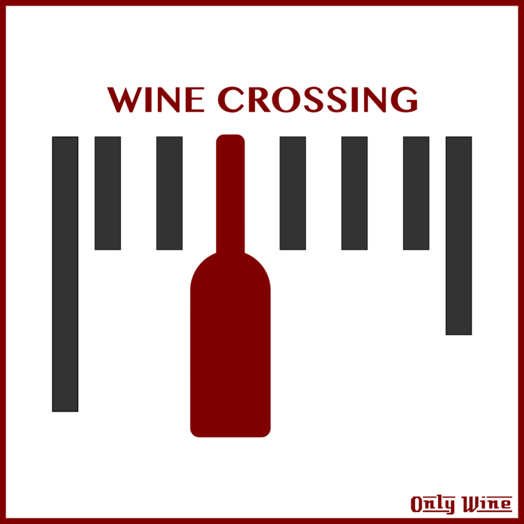 Wine Label Logo Bottle - Wine (750x750), Png Download