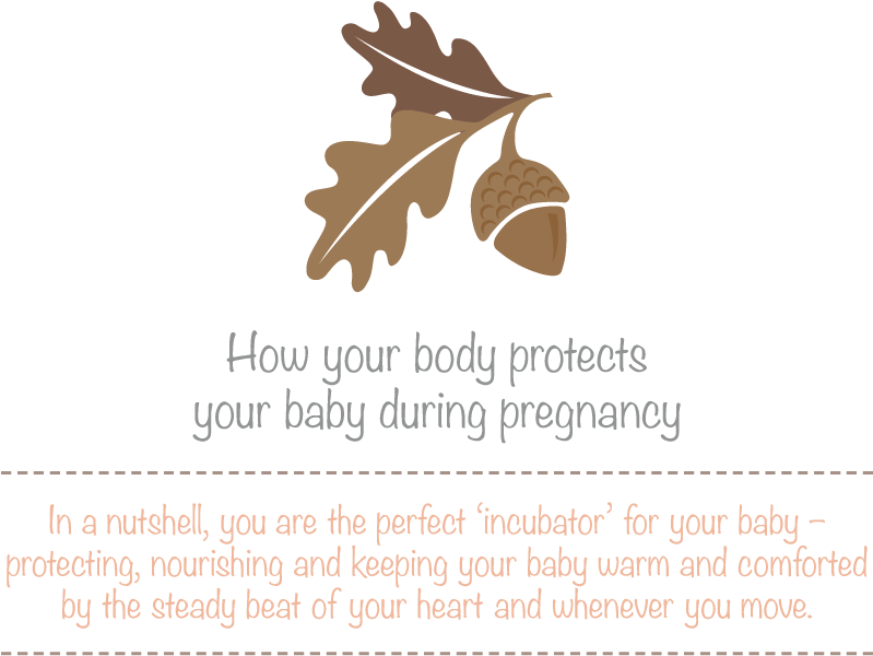 During Pregnancy, Your Baby Needs Protection From Germs, - White Oak (1040x655), Png Download