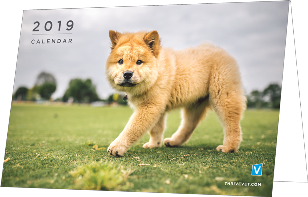 Download Thrive Affordable Vet Care 2019 Desktop Calendar Promotion