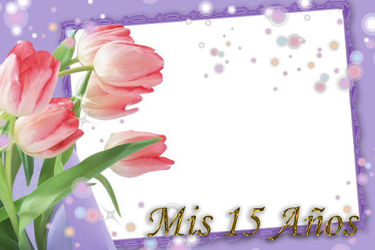 Marcos Mis 15 Años - Marcos Para Quinceañeras Png (530x353), Png Download
