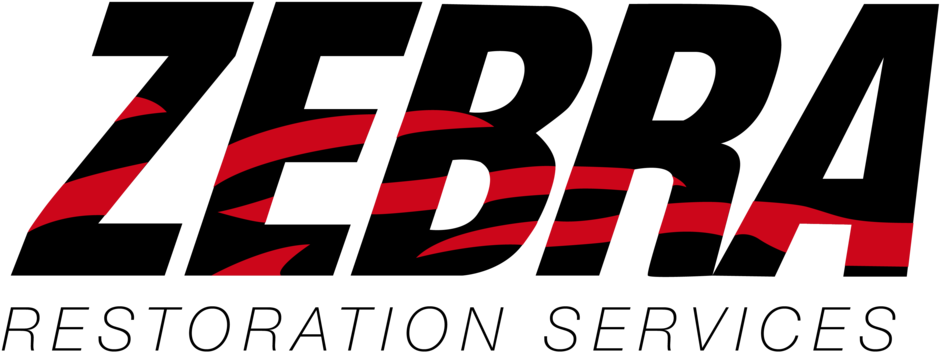 Zebra Logo Red 01 - Film (1000x403), Png Download