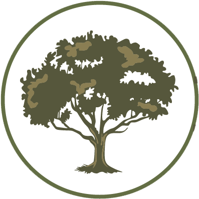 The Advantages Of Tree Care And Maintenance - Colossians 2 7 (405x405), Png Download