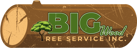 Big Wood Tree Service, Inc - Big Wood Tree Service, Inc. (600x227), Png Download
