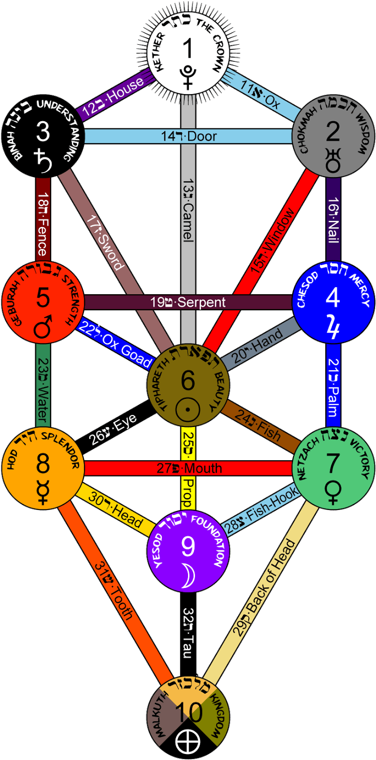 Above Picture Has Tree Of Life And Its Overall Connections - Hidden Treasures Of The Ancient Qabalah (857x1600), Png Download