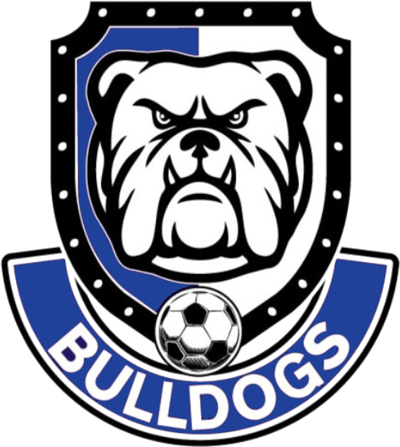 Bulldog - Bull Dog Faces Drawing (632x695), Png Download