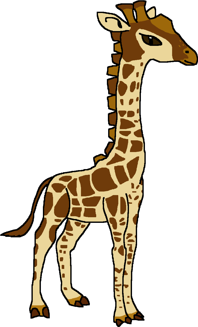 Angolan Giraffe (794x1300), Png Download
