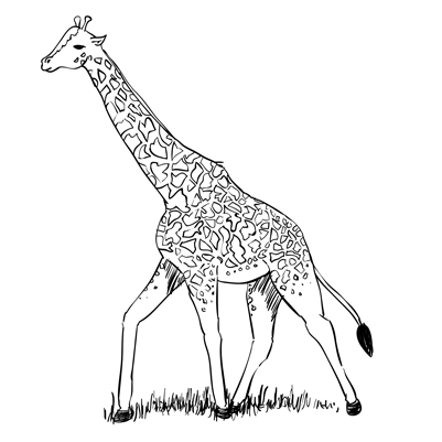 How To Draw A Giraffe Sketchbook Challenge - Drawing (650x400), Png Download
