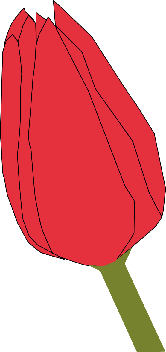 Red Tulip Bud - Closed Flower Clipart (282x598), Png Download