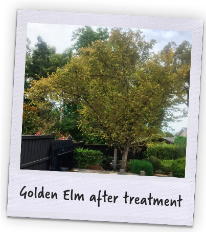 Banner - Picture Frame (761x452), Png Download