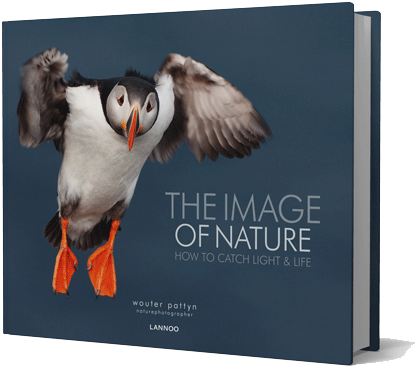 Key Facts Title - Nature: How To Catch Light (450x375), Png Download