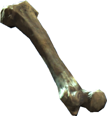 Femur - Femur Png (455x452), Png Download