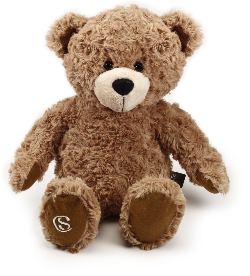 Urso-marrom - Ursinho Da Cacau Show (1000x1000), Png Download