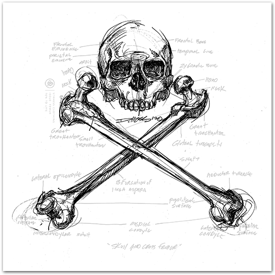 Skull & Femur Mens Tee Skull & Femur Mens Tee - Art (600x600), Png Download