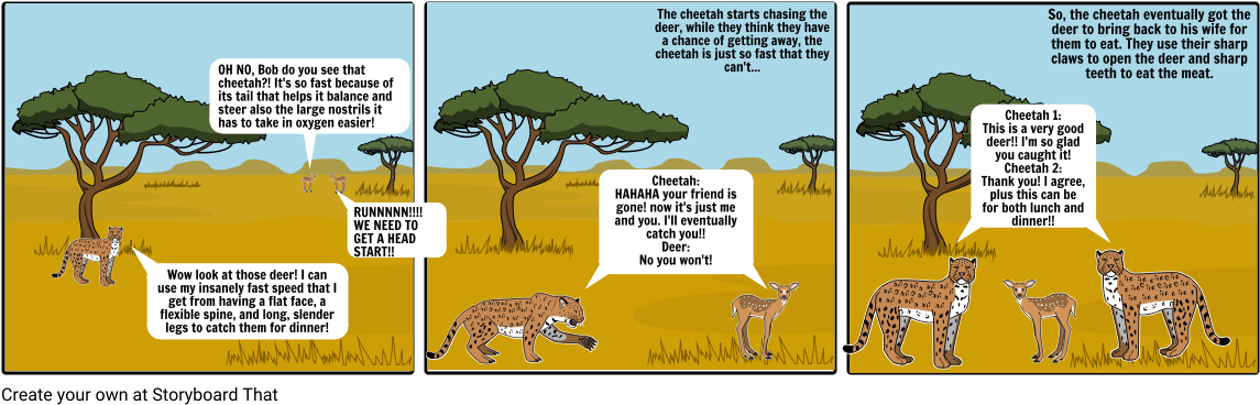 Survival Of The Fittest - Giraffe (1164x385), Png Download