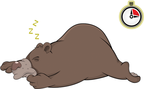 De Acordo Com O Texto Ao Lado, Quantas Horas Os Ursos - Drawing (537x307), Png Download