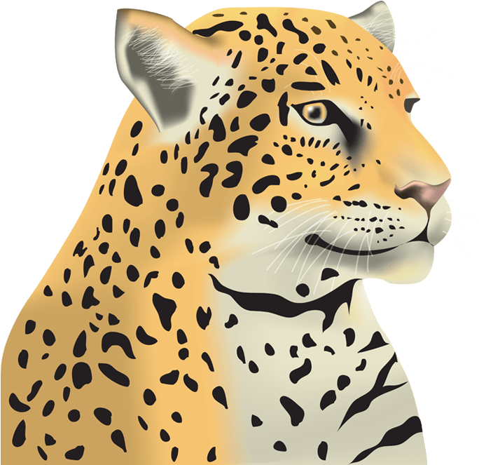 Juniper Elementary School (718x718), Png Download