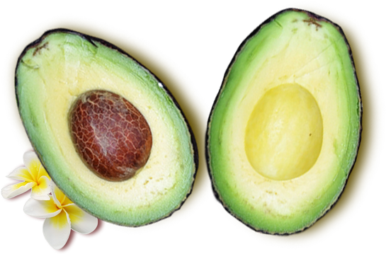 Anterior Siguiente - Agroexport Llc (652x405), Png Download