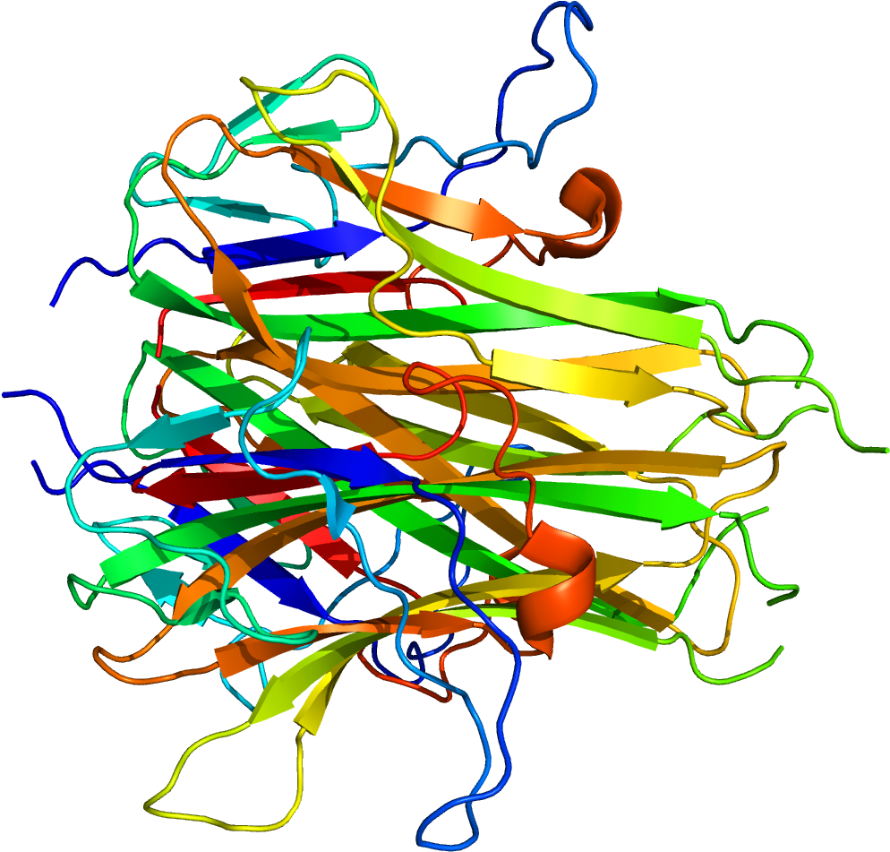 Protein Tnfsf15 Pdb 2o0o - Restaurant (1200x1000), Png Download